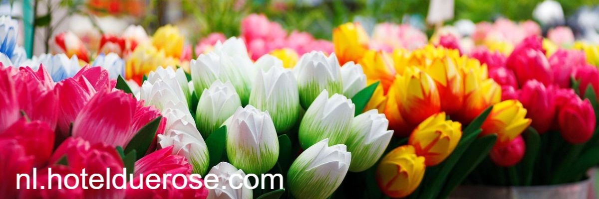 nl.hotelduerose.com